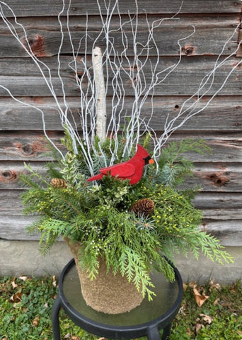 Cardinal in the Birches Container