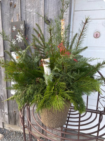 Foraging Cardinal in Winter Container