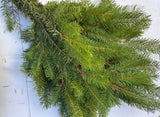 Evergreen Bunches
