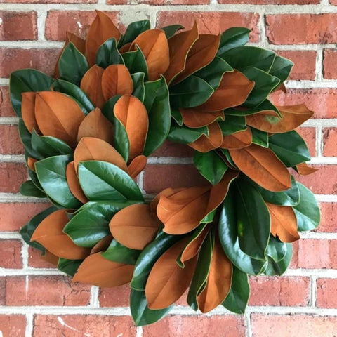 Magnolia Wreath
