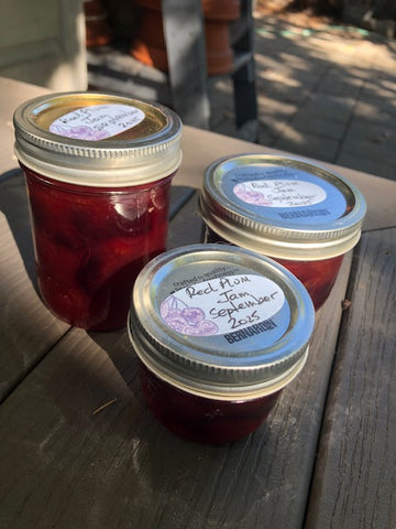 Jams & Jelly - Red Plum Jam