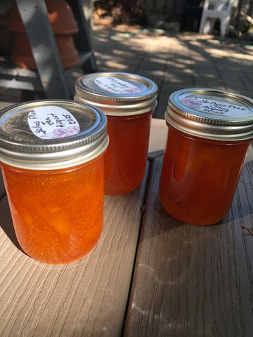 Jams & Jelly - Yellow Plum Jam